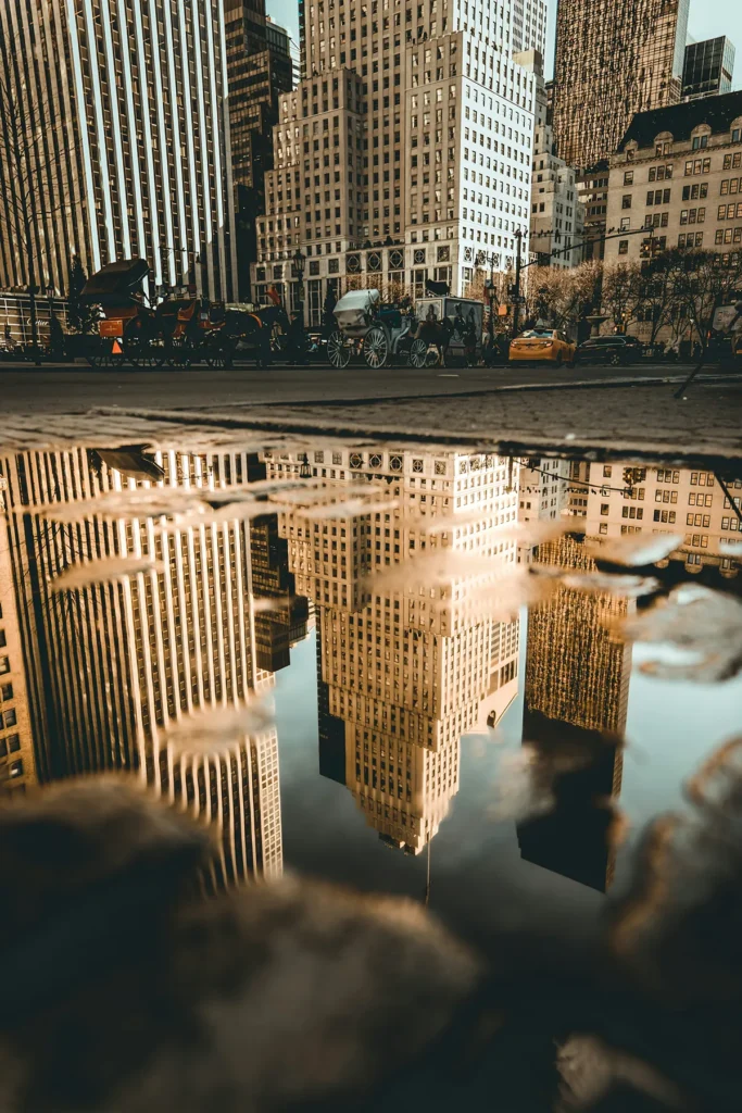 building view in water
